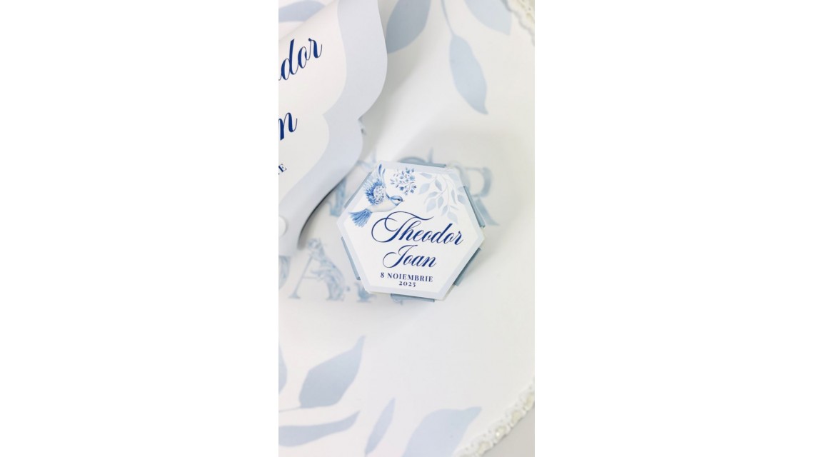 Trusou botez baietel Hot Air Balloon Blue Toile cu baloane de aer cald design elegant 15